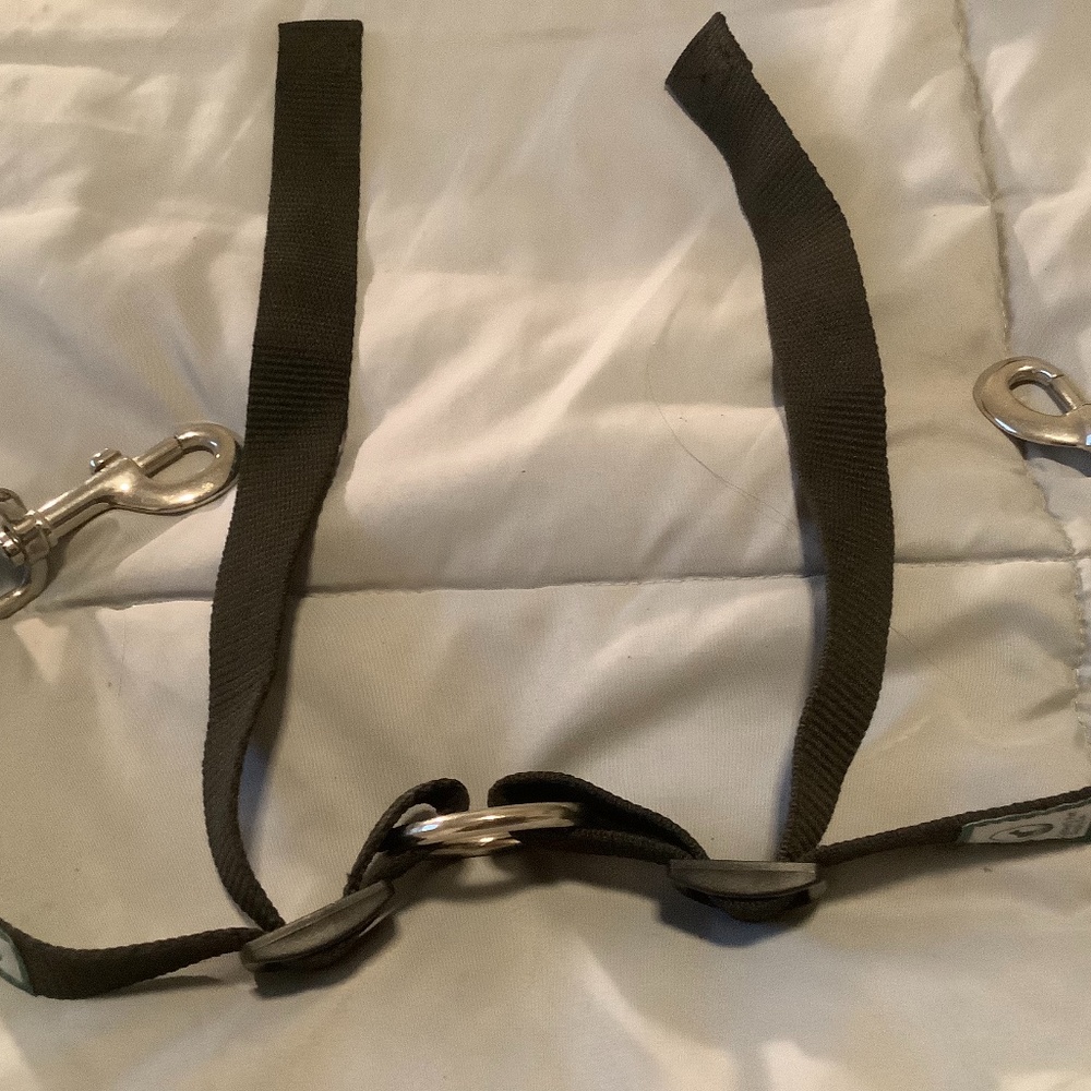 Tandem dog leash